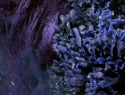 A Landscape to Be Invented&nbsp;by Josh Weissbach