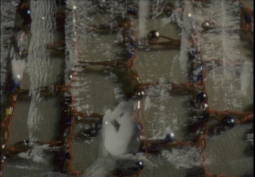 A Small Fragment of a Day that Belong to 20 Years Agoby Dominic Angerame